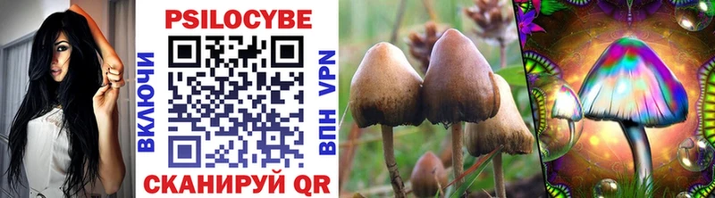 купить наркотик  Рыбное  Псилоцибиновые грибы Psilocybine cubensis 
